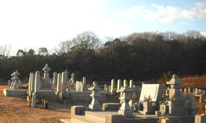 kurodahigasiboti